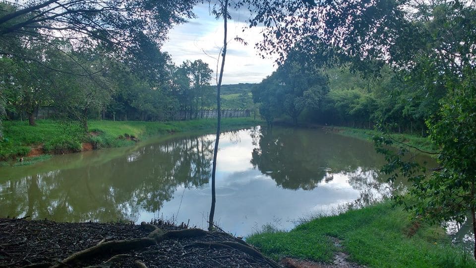 lagoas.jpg
