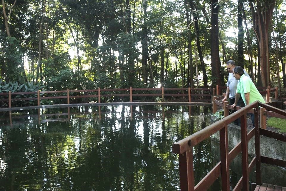 Centro de Educação Ambiental Vivenciada