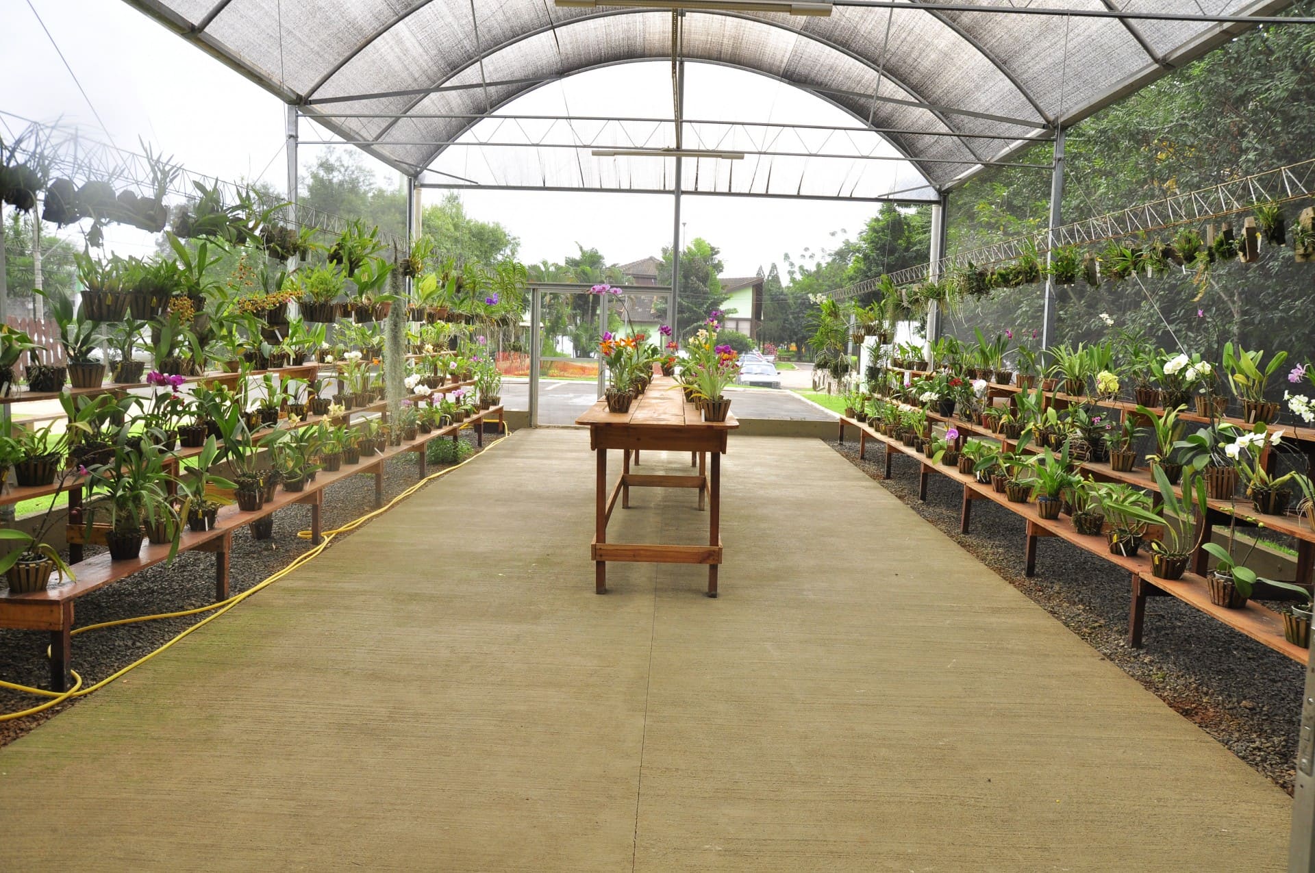 Orquidário Municipal de Sumaré