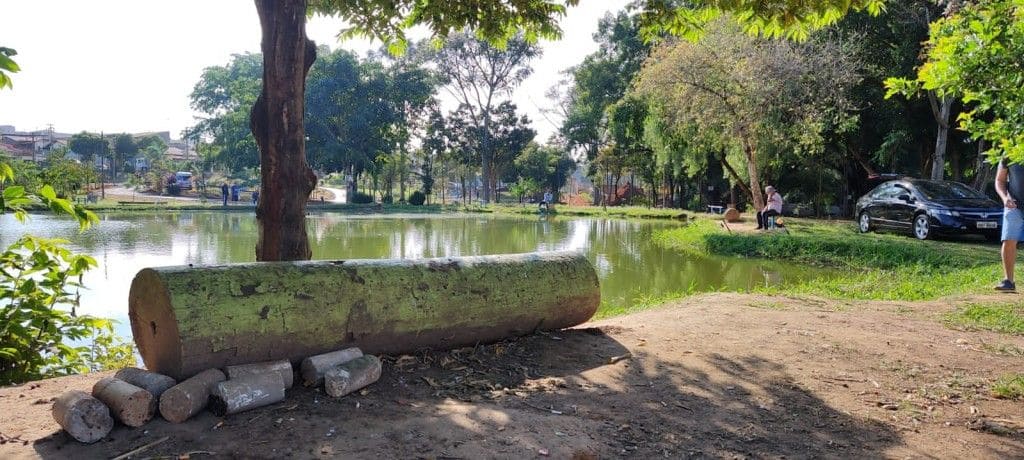 Bosque dos Lagos